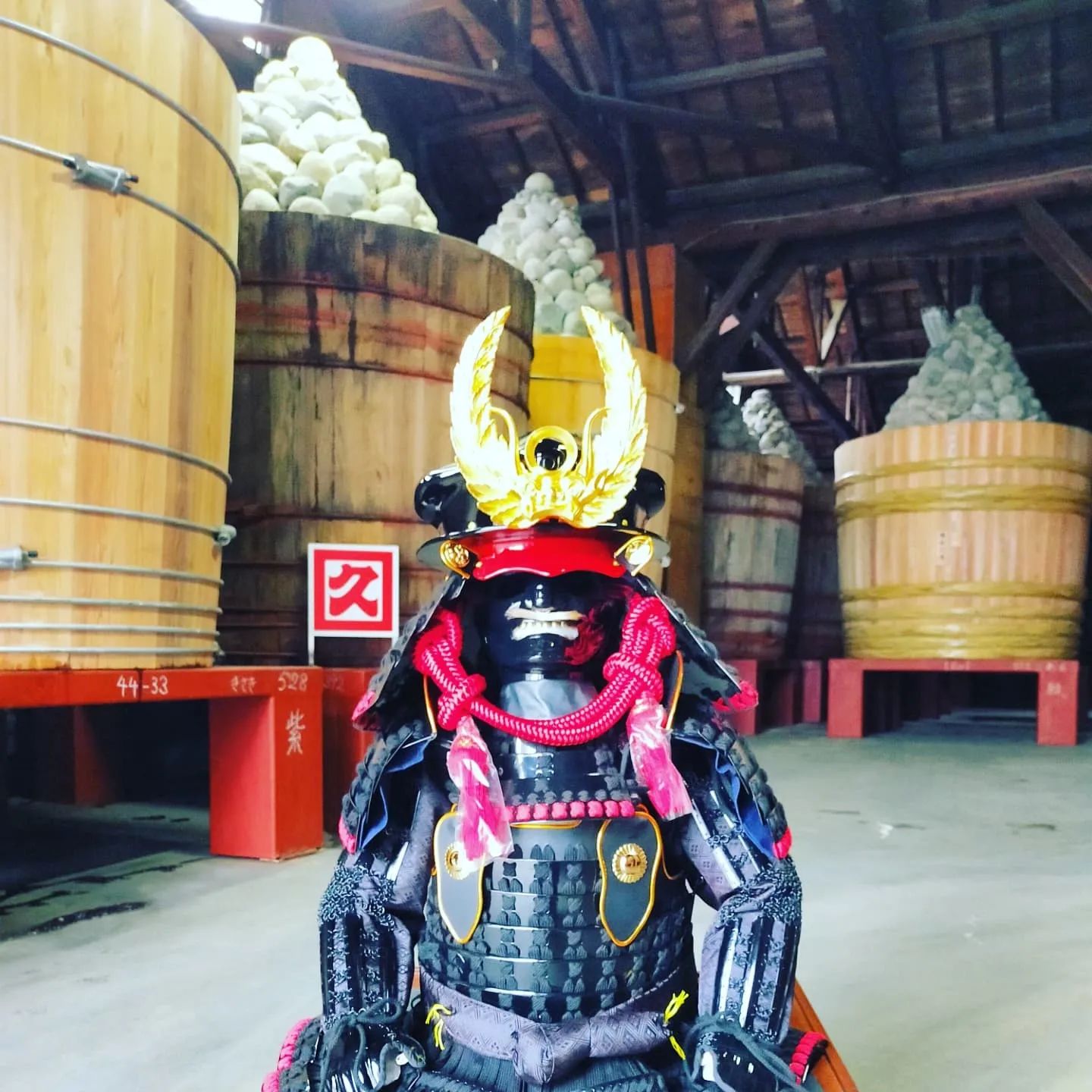 徳川家康公甲冑(着用鎧)- from Instagram