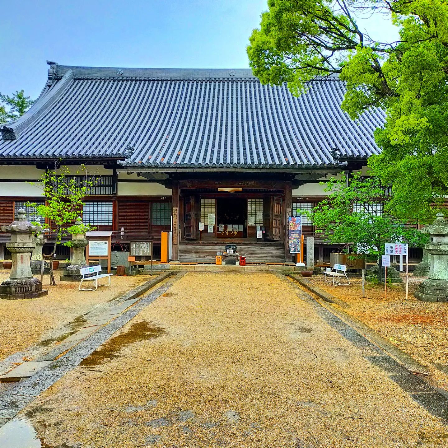 大樹寺- from Instagram