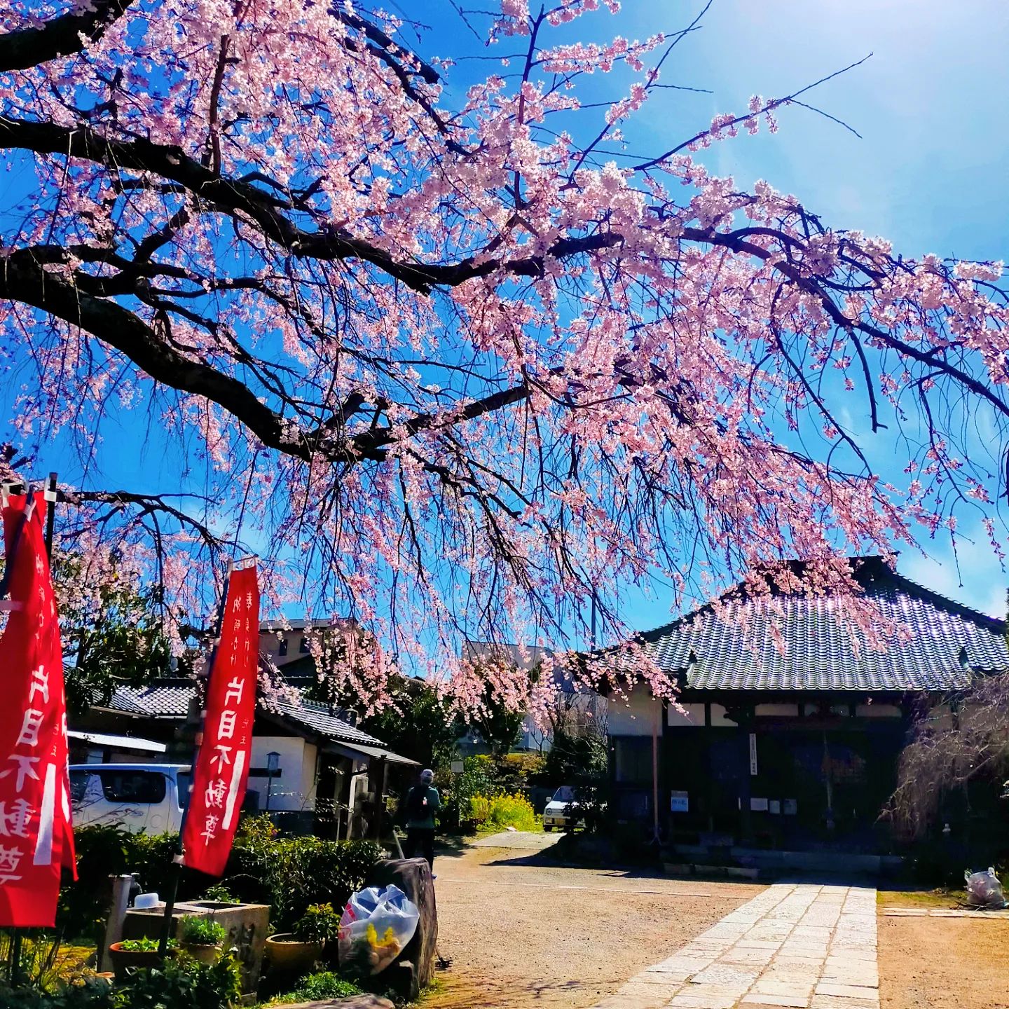 明星院　あおう人形隣- from Instagram