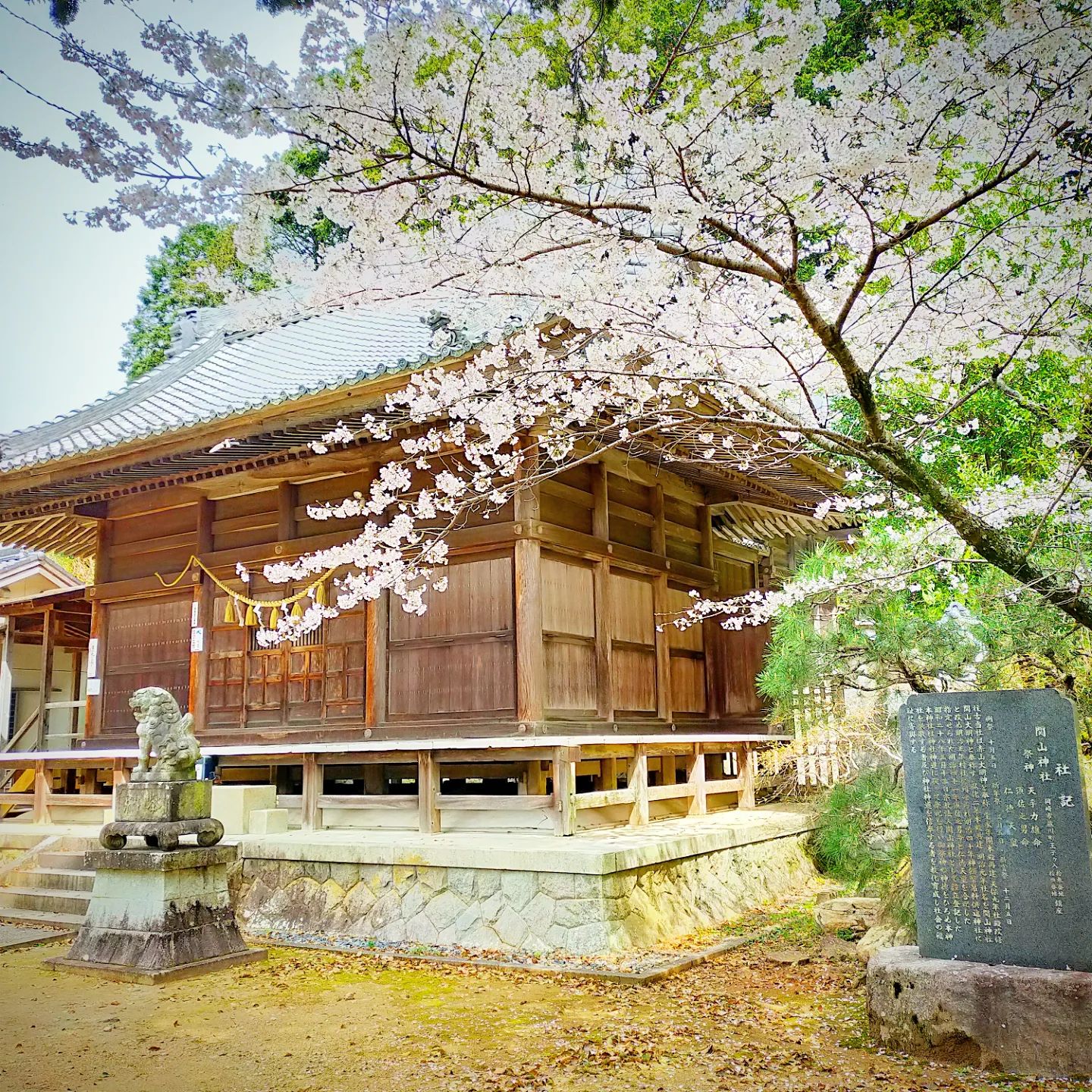 藤川宿の関山神社- from Instagram